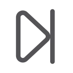 Skip SVG Icon